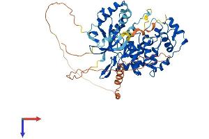 Nemo-Like Kinase Protein (NLK) (AA 1-527) (His tag)