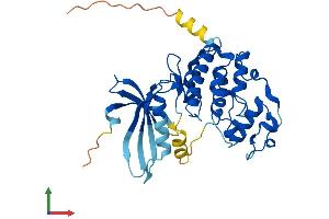Protein Structure (PS) image for Cyclin-Dependent Kinase 6 (CDK6) (AA 1-326) protein (His tag) (ABIN7563983)