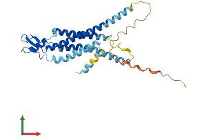 AlphaFold protein structure predicition of Human Recombinant GJB5 Protein, UniprotID O95377