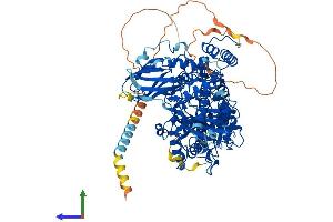 Protein Structure (PS) image for Xylosyltransferase II (XYLT2) (AA 1-865) protein (His tag) (ABIN7556058)