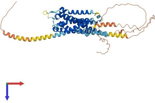 Serotonin Receptor 2B Protein (HTR2B) (AA 1-479) (His tag)
