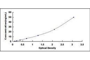 Typical standard curve (MMP11 ELISA Kit)