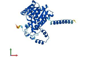 Protein Structure (PS) image for Epidermal Retinal Dehydrogenase 2 (RDHE2) (AA 1-309) protein (His tag) (ABIN7551222)