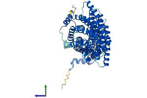 Protein Structure (PS) image for Amyloid beta Precursor Protein (Cytoplasmic Tail) Binding Protein 2 (APPBP2) (AA 1-585) protein (His tag) (ABIN7552312)