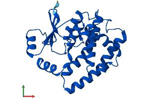 Protein Structure (PS) image for Glutathione S-Transferase alpha 4 (GSTA4) (AA 1-222) protein (His tag) (ABIN7562998)