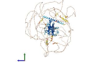 AlphaFold protein structure predicition of Human Recombinant SYNRG Protein, UniprotID Q9UMZ2 (SYNRG Protein (AA 1-1314) (His tag))