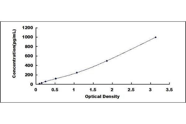 FGF1 ELISA Kit