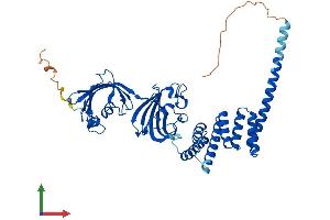 Protein Structure (PS) image for FK506 Binding Protein 4, 59kDa (FKBP4) (AA 1-458) protein (His tag) (ABIN7563088)