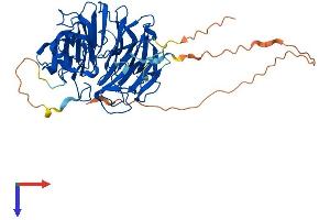 SERGEF Protein (AA 1-464) (His tag)