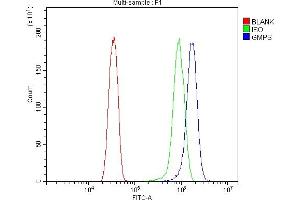 Flow Cytometry analysis of HELA cells using anti-GMPS antibody (ABIN7600629).
