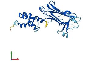 Protein Structure (PS) image for F-Box Protein 44 (FBXO44) (AA 1-255) protein (His tag) (ABIN7547661)