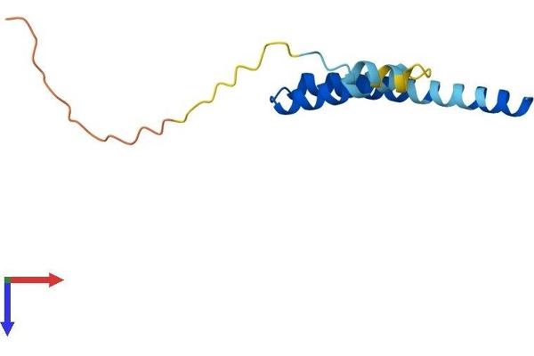 IFITM1 Protein (AA 1-106) (His tag)