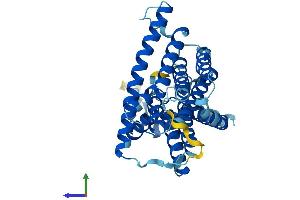Protein Structure (PS) image for Sphingosine-1-Phosphate Phosphatase 2 (SGPP2) (AA 1-354) protein (His tag) (ABIN7558471)