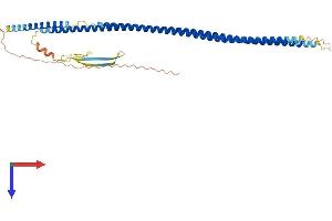 KRT20 Protein (AA 1-424) (His tag)