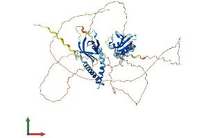 Protein Structure (PS) image for SH2B Adaptor Protein 2 (SH2B2) (AA 1-632) protein (His tag) (ABIN7555519)