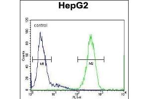 SOHLH1 Antibody (N-term) (ABIN654873 and ABIN2844530) flow cytometric analysis of HepG2 cells (right histogram) compared to a negative control cell (left histogram). (SOHLH1 Antikörper  (N-Term))
