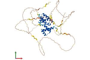 Protein Structure (PS) image for POU domain, class 2, transcription factor 2 (POU2F2) (AA 1-463) protein (His tag) (ABIN7556846)