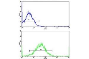 Flow Cytometry (FACS) image for anti-Tyrosine Hydroxylase (TH) (AA 486-514) antibody (ABIN3029766)