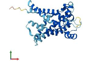 AlphaFold protein structure predicition of Human Recombinant SLC25A21 Protein, UniprotID Q9BQT8