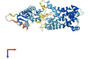 SLC25A24 Protein (AA 1-475) (His tag)