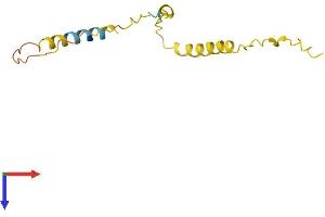 BEX4 Protein (AA 1-118) (His tag)