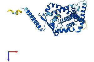 AlphaFold protein structure predicition of Human Recombinant CYP4Z2P Protein, UniprotID Q8N1L4