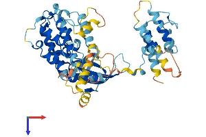 MAPKAP Kinase 5 Protein (AA 1-473) (His tag)