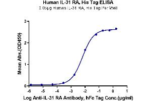 Immobilized Human IL-31 RA, His Tag at 0. (IL31RA Protein (AA 20-519) (His tag))