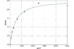 A typical standard curve