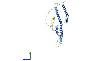 Protein Structure (PS) image for NSL1, MIND Kinetochore Complex Component, Homolog (NSL1) (AA 1-281) protein (His tag) (ABIN7549927)
