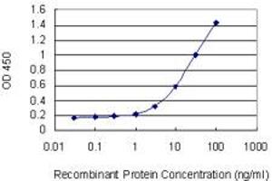 Detection limit for recombinant GST tagged CD1C is 0. (CD1c Antikörper  (AA 77-185))