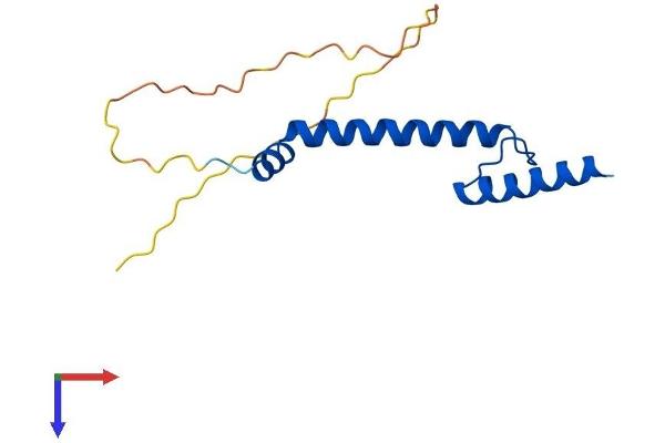NHLH2 Protein (AA 1-135) (His tag)