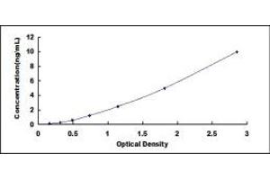 Typical standard curve (HLA-DQB1 ELISA Kit)