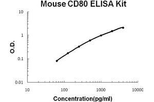 Mouse B7-1/CD80 Accusignal ELISA Kit Mouse B7-1/CD80 AccuSignal ELISA Kit standard curve. (CD80 ELISA Kit)
