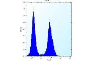 Flow cytometric analysis of Jurkat cells using Galectin-4 Antibody (N-term) Cat. (GAL4 Antikörper  (N-Term))