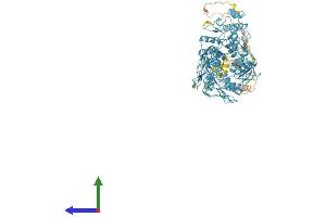 AlphaFold protein structure predicition of Human Recombinant ZNF99 Protein, UniprotID A8MXY4