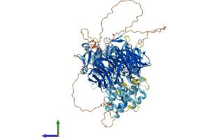 AlphaFold protein structure predicition of Human Recombinant AASDH Protein, UniprotID Q4L235