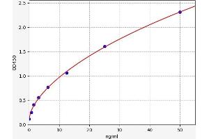 SLC2A2 ELISA Kit