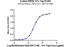 ELISA image for Bone Marrow Stromal Cell Antigen 2 (BST2) (AA 49-161) protein (Fc Tag) (ABIN7273993)