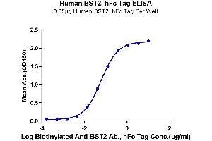 Immobilized Human BST2, hFc Tag at 0. (BST2 Protein (AA 49-161) (Fc Tag))