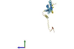 Protein Structure (PS) image for Transmembrane Protein 176B (TMEM176B) (AA 1-263) protein (His tag) (ABIN7556221)