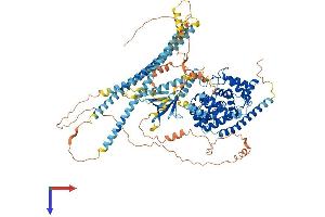 AlphaFold protein structure predicition of Human Recombinant TBC1D2B Protein, UniprotID Q9UPU7