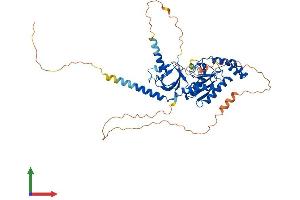 CACNB3 Protein (AA 1-484) (His tag)