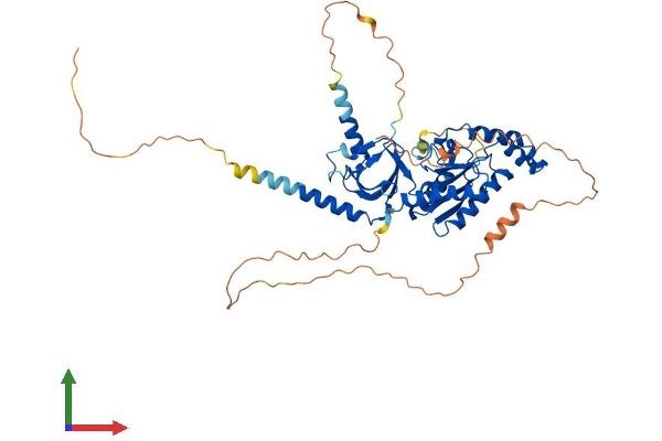 CACNB3 Protein (AA 1-484) (His tag)