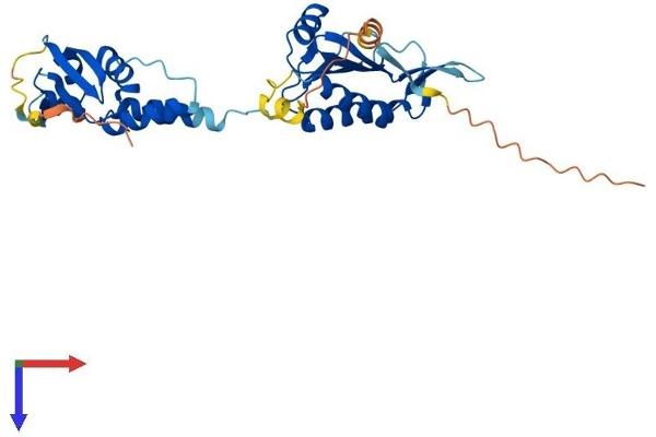 TNFAIP1 Protein (AA 1-316) (His tag)