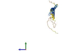 Protein Structure (PS) image for Mediator Complex Subunit 22 (MED22) (AA 1-200) protein (His tag) (ABIN7549349)