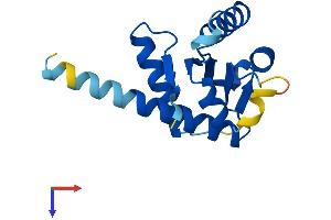 GADD45B Protein (AA 1-160) (His tag)