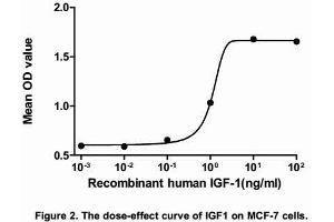 Image no. 1 for Insulin-Like Growth Factor 1 (IGF1) (AA 49-118) (Active) protein (His tag) (ABIN6239739)