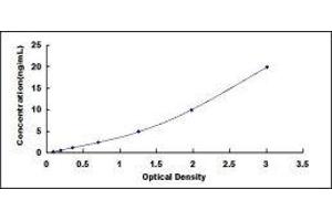 ELISA image for Toll-Like Receptor 4 (TLR4) ELISA Kit (ABIN6574197)