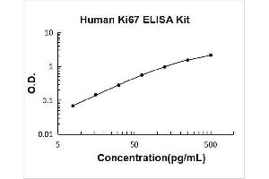 Antigen Identified By Monoclonal Antibody Ki-67 (MKI67) ELISA Kit